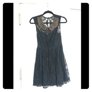 Ark & Co Lace with Beaded Collar Dress